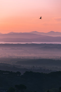 Alba Toscana
