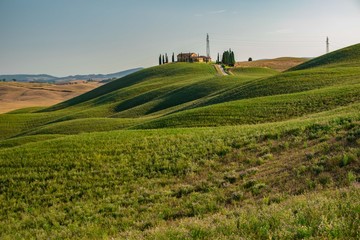 Fototapeta premium Colline verdi 