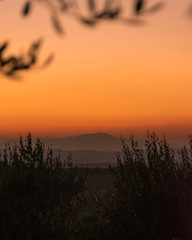 Tramonto tra le vigne