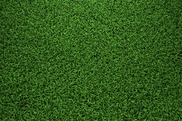 Plakat Grass background top view 3D Render