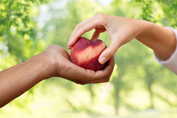 food, fruit and healthy eating concept - multiracial couple hands with peach over green natural background - Powered by Adobe