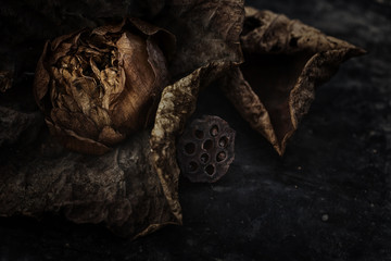Dried and withered lotus flower,.low key.