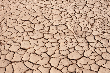 Crack soil on dry season