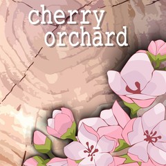 Woody background with pink Apple and cherry blossoms.