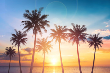 World Tourism Day concept: Silhouettes of coconut trees against the setting sun