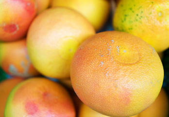 Close-up view of organic grapefruits in the basket.