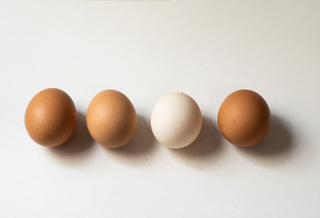 Egg, which stand out from other egg.