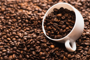selective focus of fresh roasted coffee beans and white cup