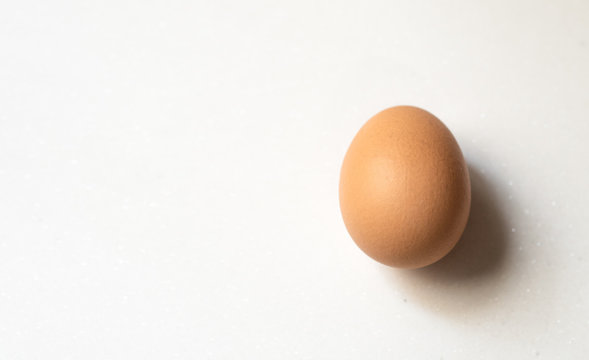 Brown chicken egg with shadow on white background