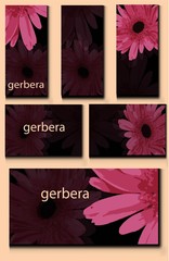Set of templates with pink daisies on a dark background.
