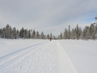 Obraz premium Ideale Skiloipen im Skigebiet des Idre Fjälls in Darlana in Mittelschweden