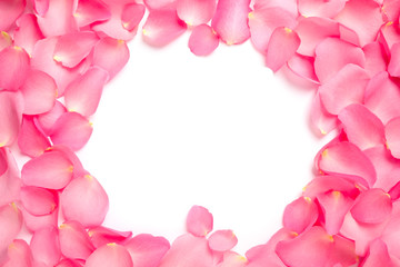 Obraz na płótnie Canvas Frame made of pink rose petals on white background, top view