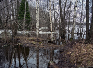 Spring flood, ice and water in the forest near the river on a cloudy spring day