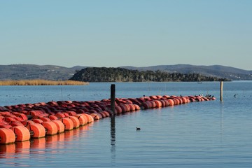 view of pier in Trasimeno Lake on a sunny day