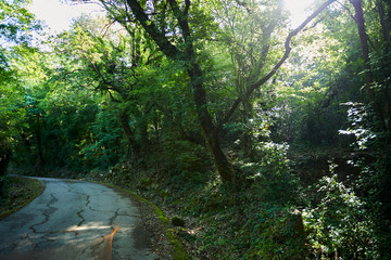 nice park in the Montenegro