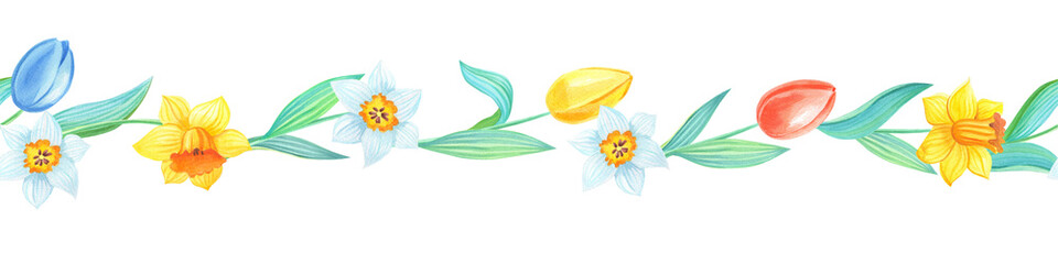 Watercolor seamless border with spring narcissus flowers.Watercolour illustration