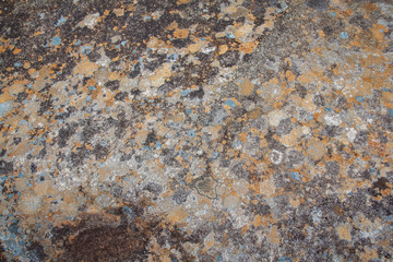 Texture of natural stone with moss and mold. Place for text or advertising