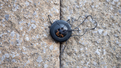 A single lost button, with threads still attached, seen close up on the pavement