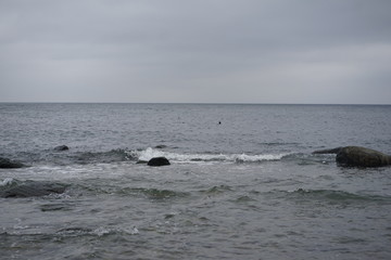 Grey seals peeking out the wild waters of the baltic sea at Cape Arkona, island Rugia, Baltic Sea, Germany  
