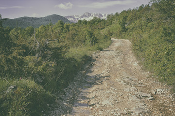 Spring panorama in the national park Abruzzo Lazio Molise, Italy