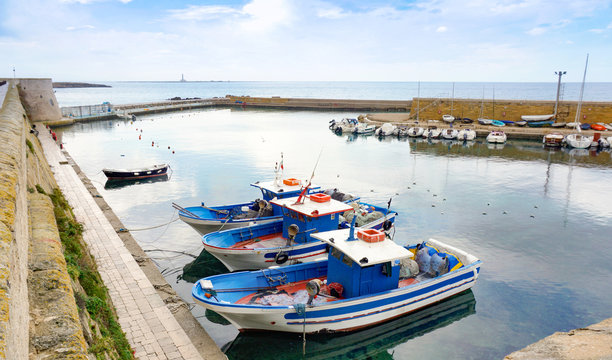 Fishing Boats in the Harbour