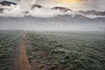Eine Straße durch ein gefrorenes Feld führt ins Unbekannte.