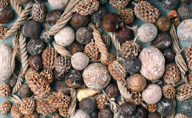 Dried preserved botany blend background texture