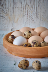 Chicken and quail eggs in wooden plate on white background vertical shot