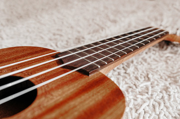 High-quality beautiful photo of a musical wooden instrument Ukulele with nylon strings on a light...