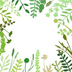 Fototapeta na wymiar Floral border made of hand drawn wild herbs and flowers. Green frame. Square border great to place any text or quote. Botanical drawing. Vector illustration isolated