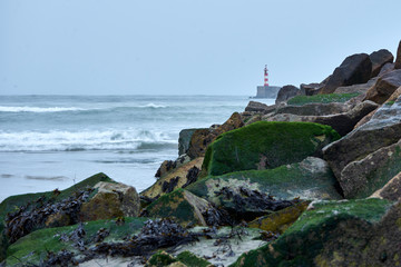 Fototapeta na wymiar Farol com rochas e o mar de fundo e alguns mexilhões