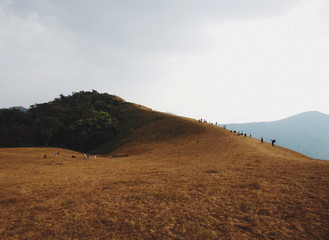 Mon Jong Trekking Route in Chiangmai, Thailand