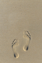Obraz na płótnie Canvas top view on footprints tracked in the sand