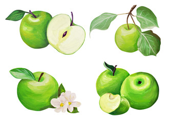 set. Apples Hand drawing isolated on a white background. Gentle green apples drawn in gouache in the style of realism.