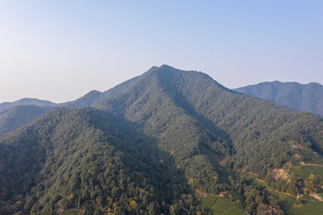 Obraz premium Aerial view shot of green tea plantation