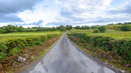 Ireland Farm Road Narrow Route North West Countryside Panoramic Landscape