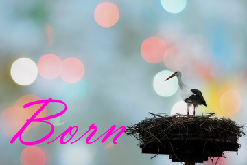 A stork that brings new life to the happy parents of a newborn child