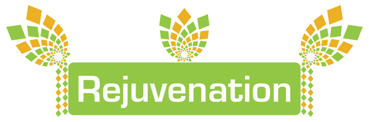 Rejuvenation Green Orange Floral Elements 