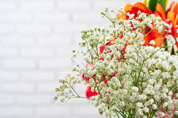 Baby's-breath flowers branches in white room close up