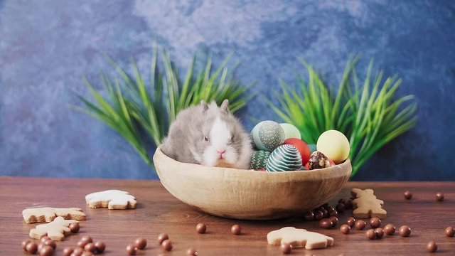 Cute Easter bunny in basket with colorful eggs and candies on wooden table. Easter holiday decorations, Easter concept background.