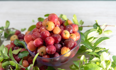 Fruits and leaves of acerola in a glass container on a wooden surface