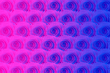 Roses pattern with glitch effect. Contemporary flower toned in trendy neon colors. Modern abstract floral background. Creative 3d art
