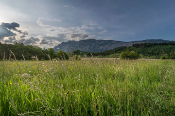 Obraz premium Frühling im Gailtal