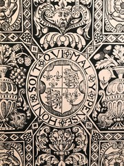 detail of vintage royal wallpaper design