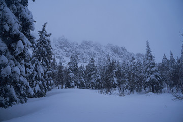A beautiful evening blue sky at sunset with flaming bright light clouds. Warm evening.