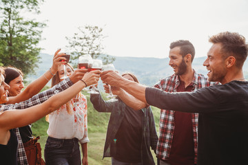 Group of friends making a toast during a barbecue in the countryside - Happy people having fun at a picnic on the hills in summer