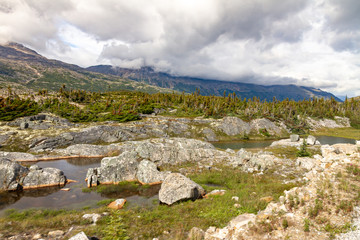 Fototapeta premium Tutschi River near Fraser - British Columbia between Alaska and Yukon, Canada
