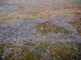 放置されている早春の宅地造成地風景