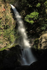 河津七滝　釜滝