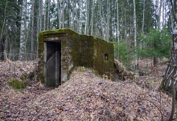 Stone bunker overgrown with moss in the forest on a cloudy spring day.